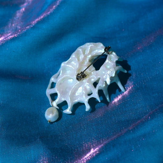 Catilina Conch Brooch