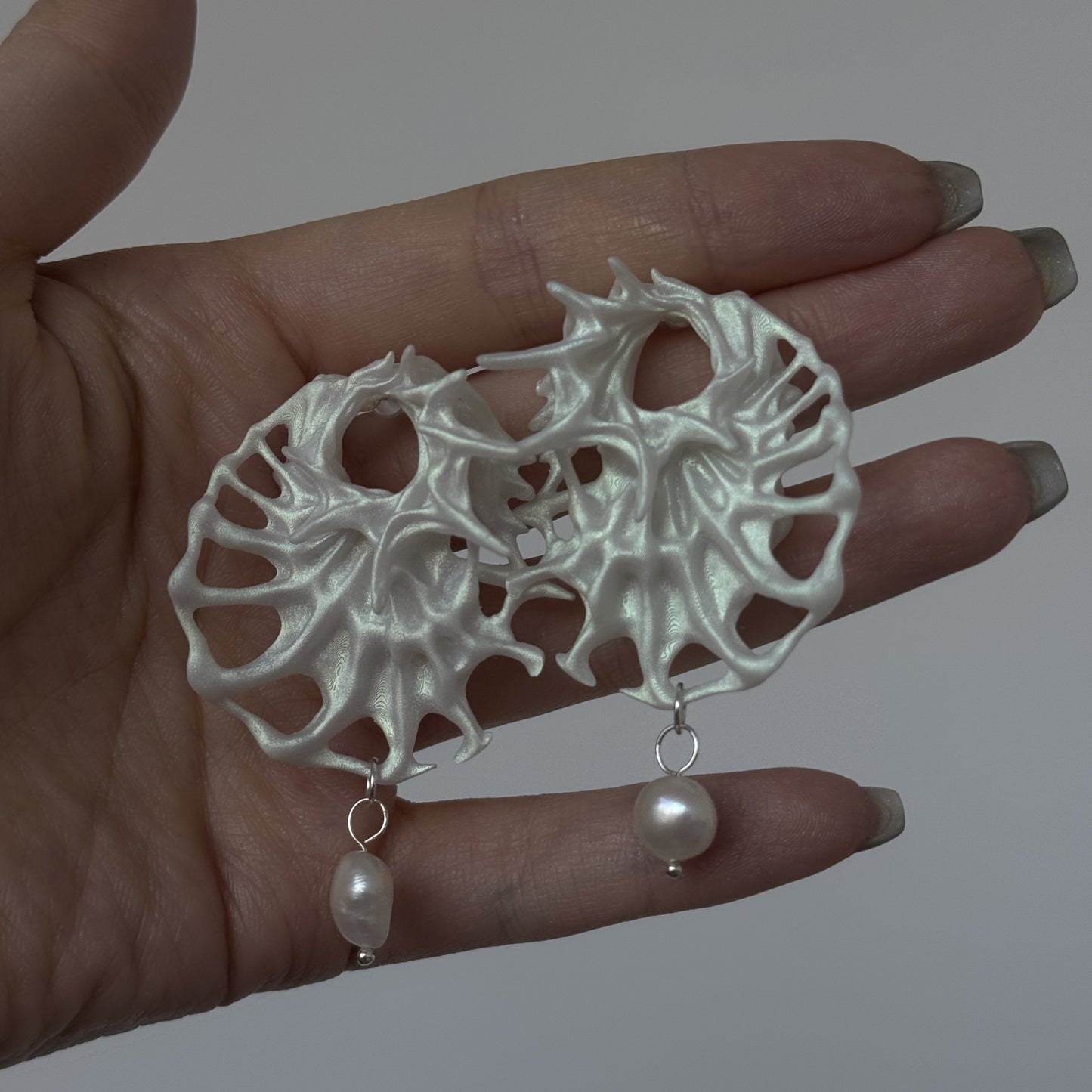 Catilina Conch Studs