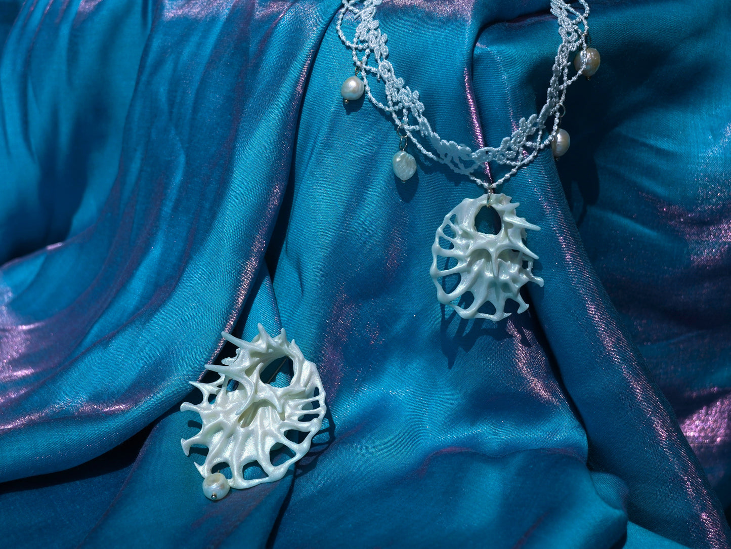 Catilina Conch Brooch