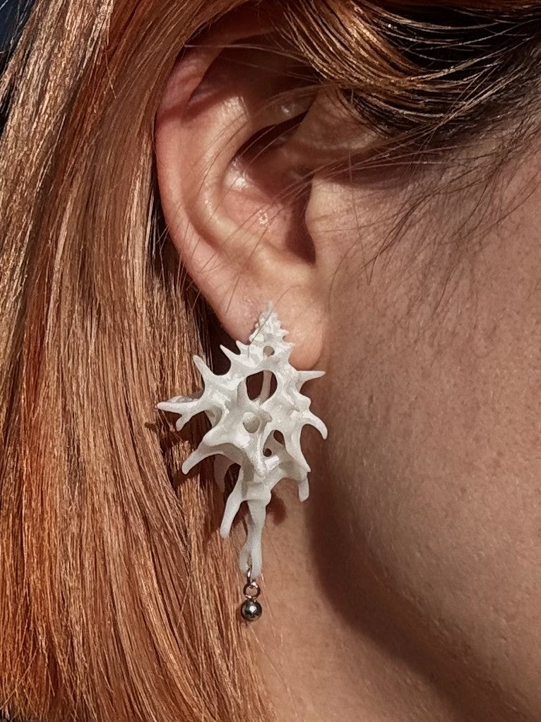 Bone Shell Earrings
