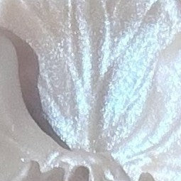 Bone Segment Necklace